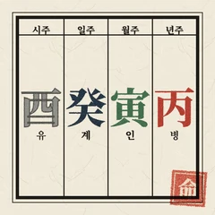 내 사주 오행 보기